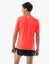 Compressport - Pro Racing SS Tshirt - NEW
